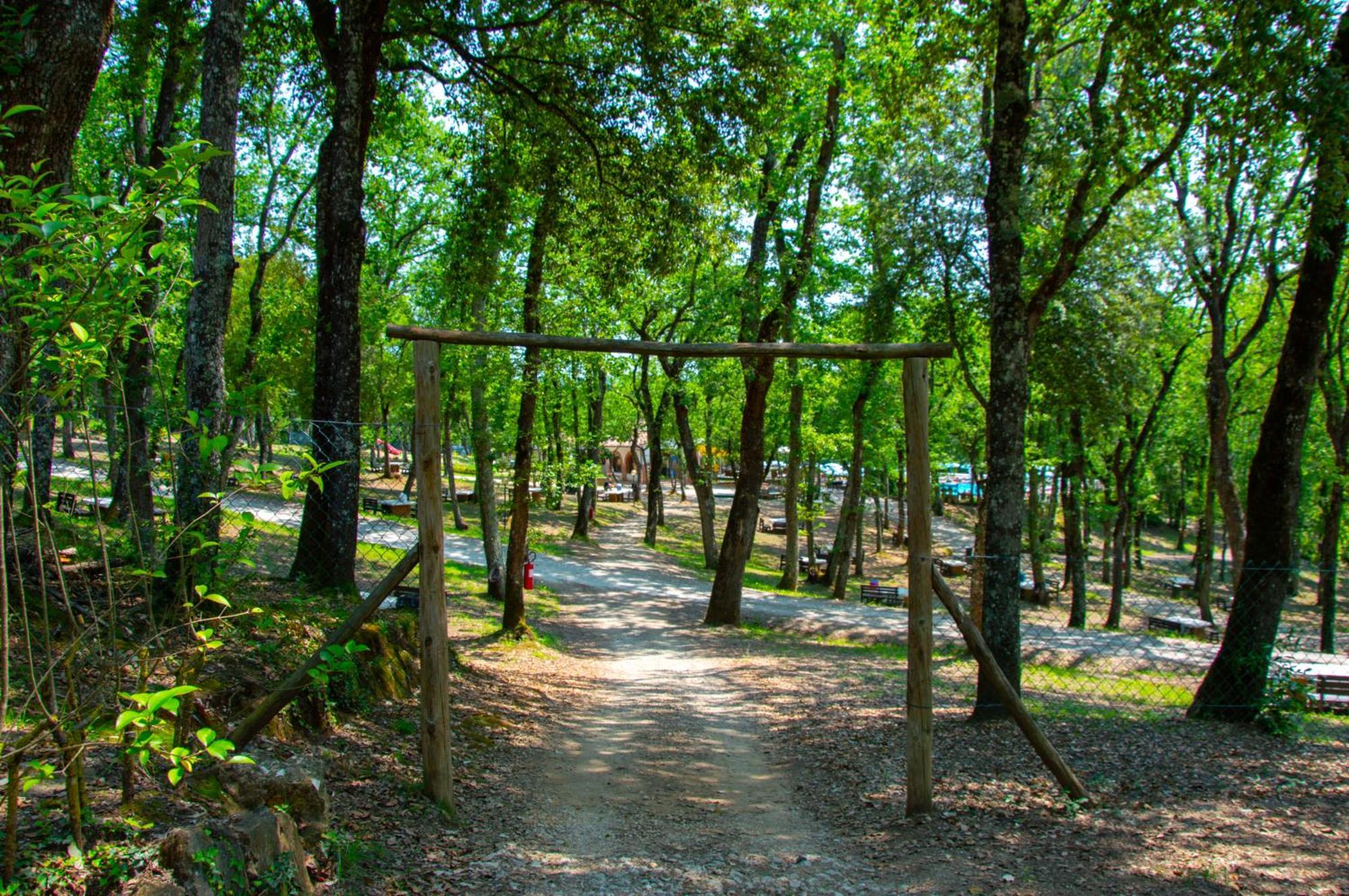 Luxor Chianti Glamping Village カステッリーナ・イン・キアンティ シエナ エクステリア 写真